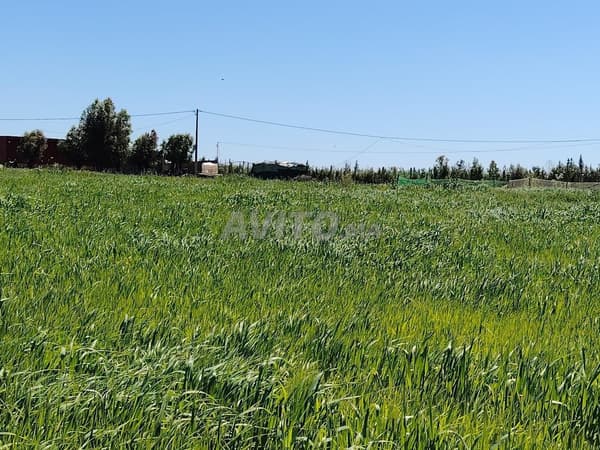 2.4 ha – Titre Foncier & Vue Unique – 7 km de Benslimane