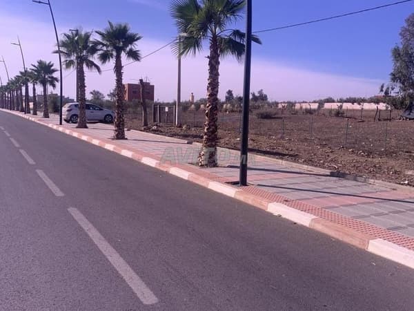 terreno sul bordo della strada