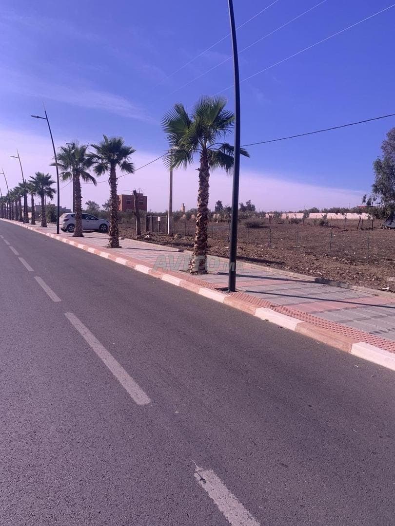 terreno sul bordo della strada