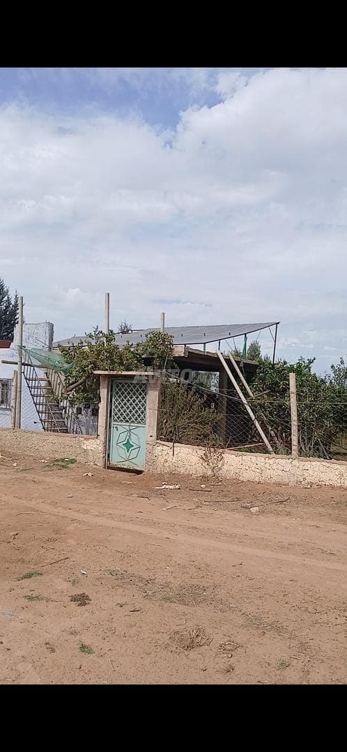 3 خدامة تيتر نواحي عين جوهرة فيا 2 بيار واحد صونضة واحد عادي فيها دار او طاقة الشمسية مغروسة حامل او زيتون