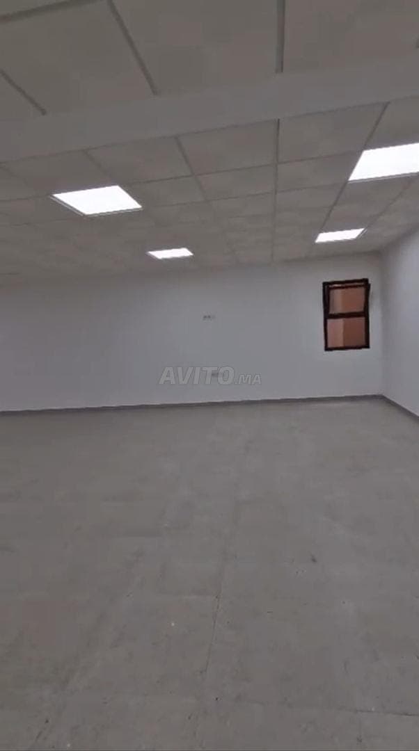 Office for Professional Use // Centre