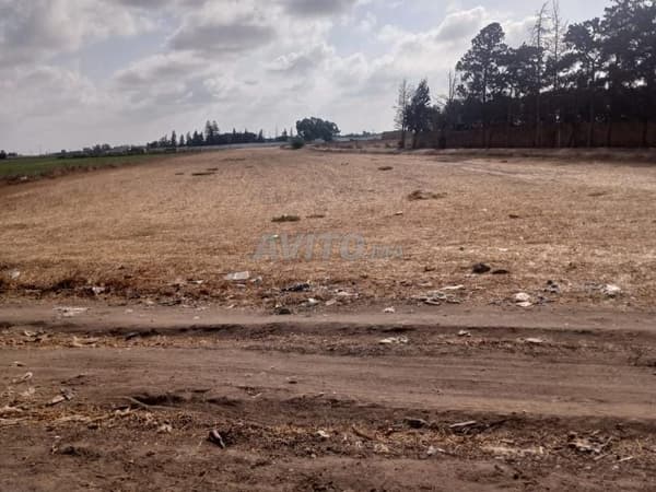 Land for sale – 12,500 m² in Berrechid