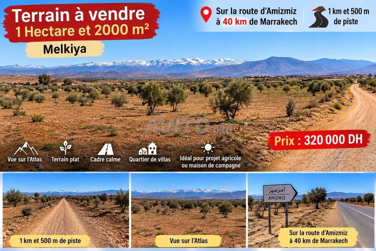 Terrain agricole à vendre à Amizmiz