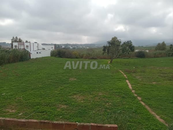 Agricultural land for sale