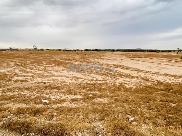Terrain à vendre 10000 m² pour la construction de villa