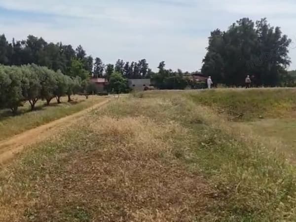 Terrain agricole titré de 112 Ha alentours Larache