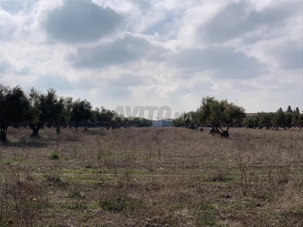 Land for sale R1 negotiable price