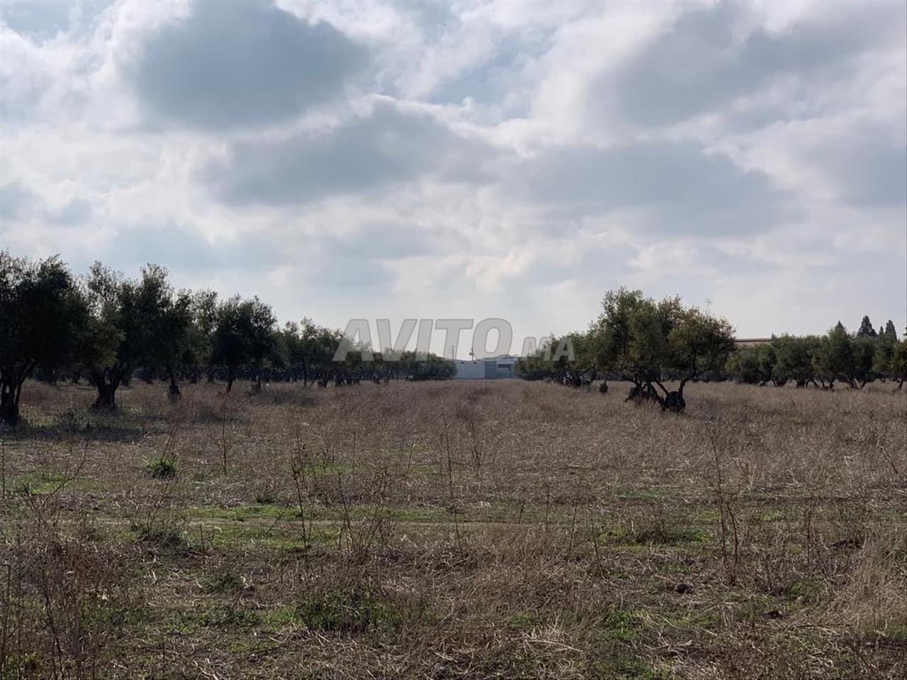 Land for sale R1 negotiable price