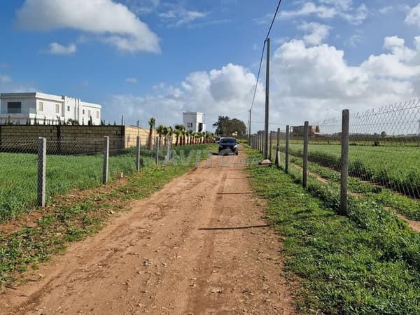 Terrain à vendre d'une superficie totale d'un hectare