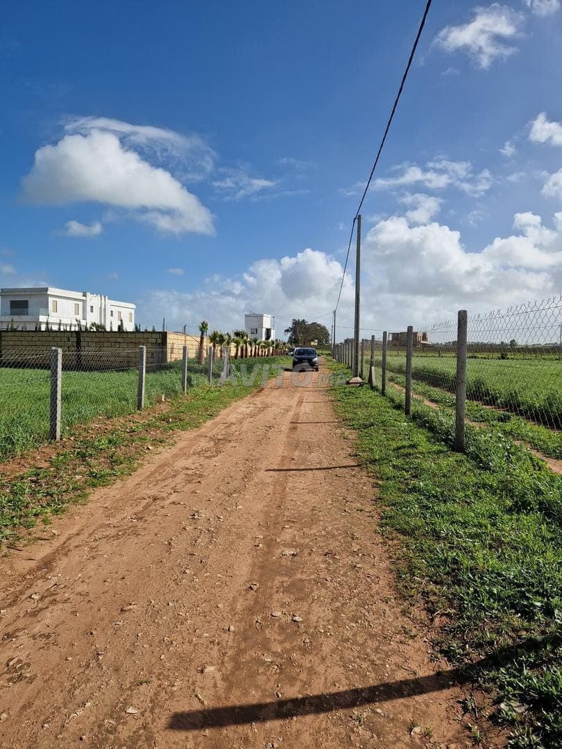 Terrain à vendre d'une superficie totale d'un hectare