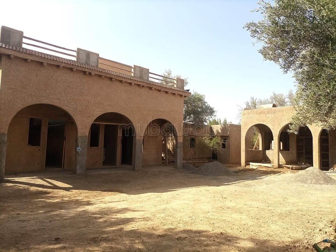 Riad de suites para Maison d'hôte
