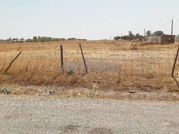 أرض بسند 16000 م2 مقام تلبة تيفلت