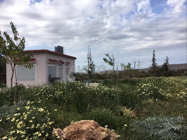 Fattoria in vendita a Fezouane