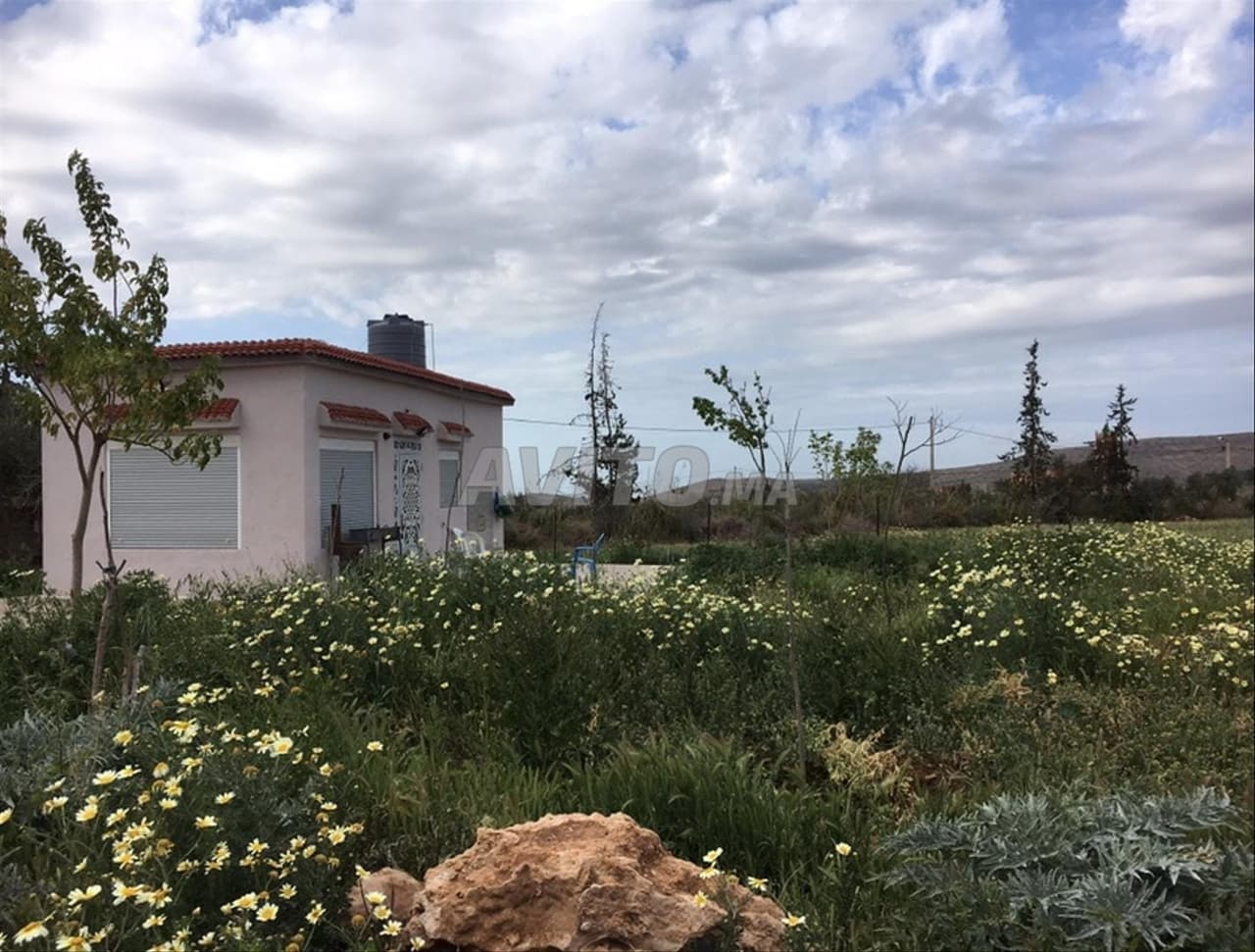 Ferme à vendre à Fezouane
