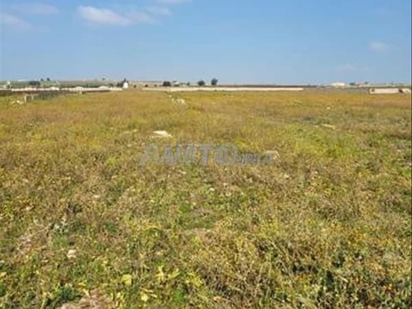 Excellent Agricultural Land at Sidi El Aidi