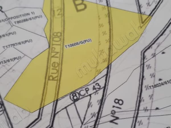Vente terrain à Manar. Surface totale 7812 m²