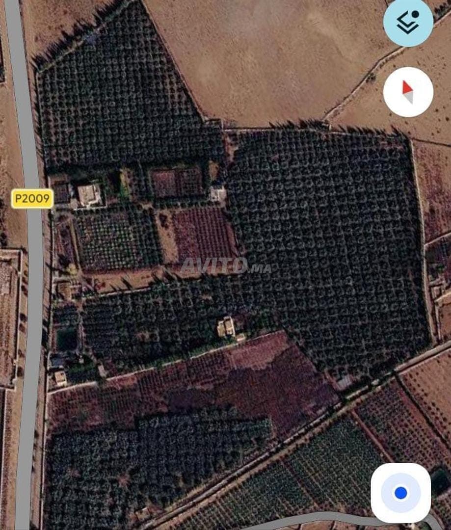 FERME TITRÉE DE 6 HECTARES – MARRAKECH / P2009