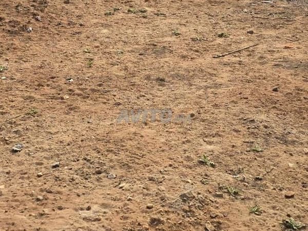 Terreno di 212 m2