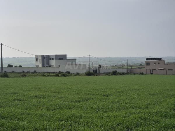 5000 mètres à Jamaat El Hauzia