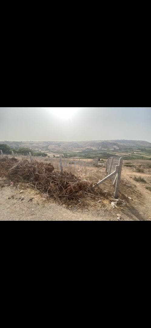 Grond te koop in Sidi Moussa Ben Ali