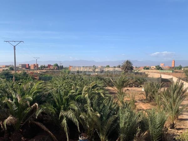 Propiedad de 1,55 ha, almacén de 1000 m² y casa de 200 m²