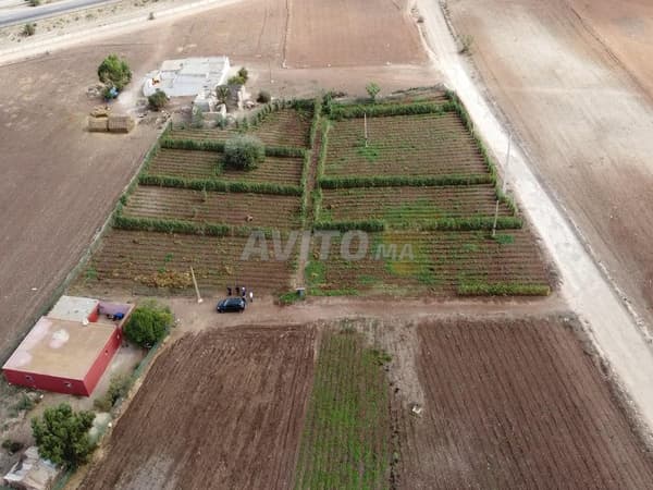 Boerderij 7200m2 Tnine Chtouka op 50km van Casablanca
