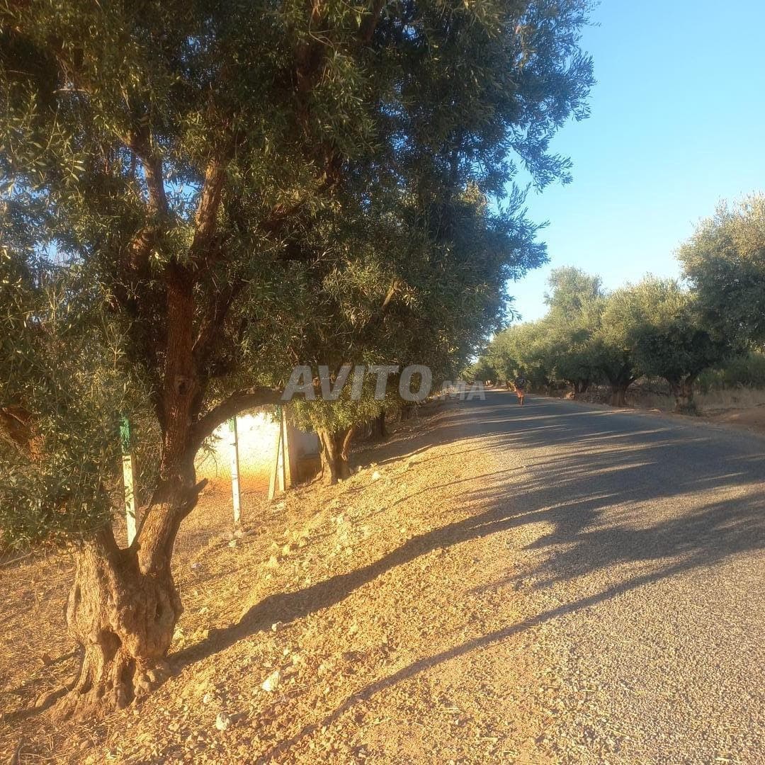 Super hectare for sale