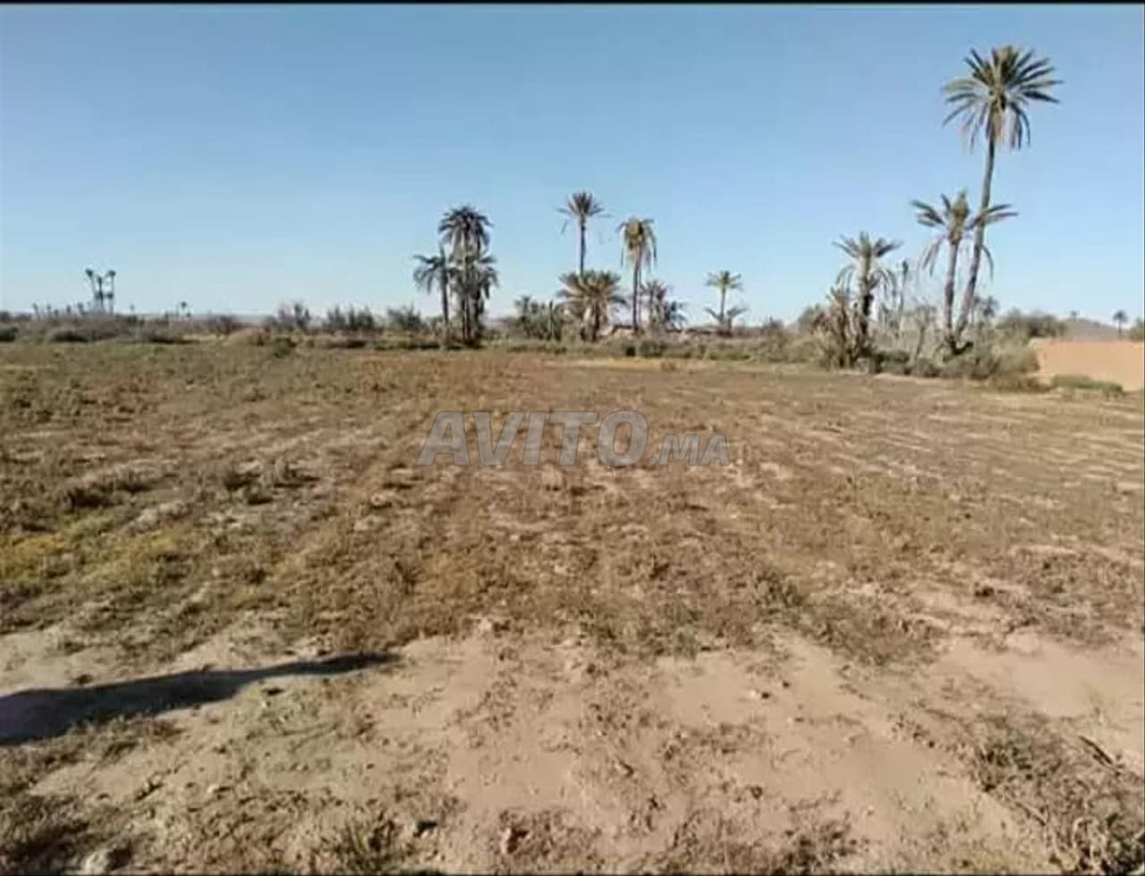 Grundstück 7 200 m² – Freier Blick auf den Atlas