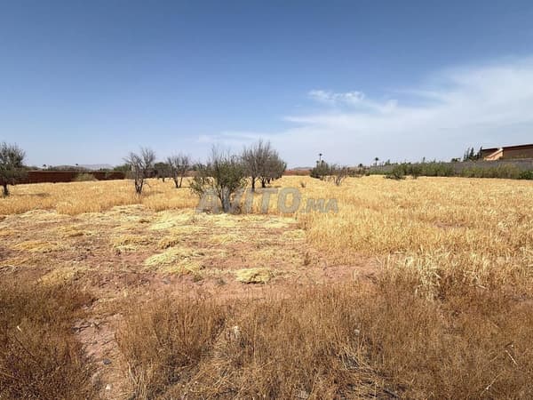Terrain 7000 m² titré, avec permis de construire
