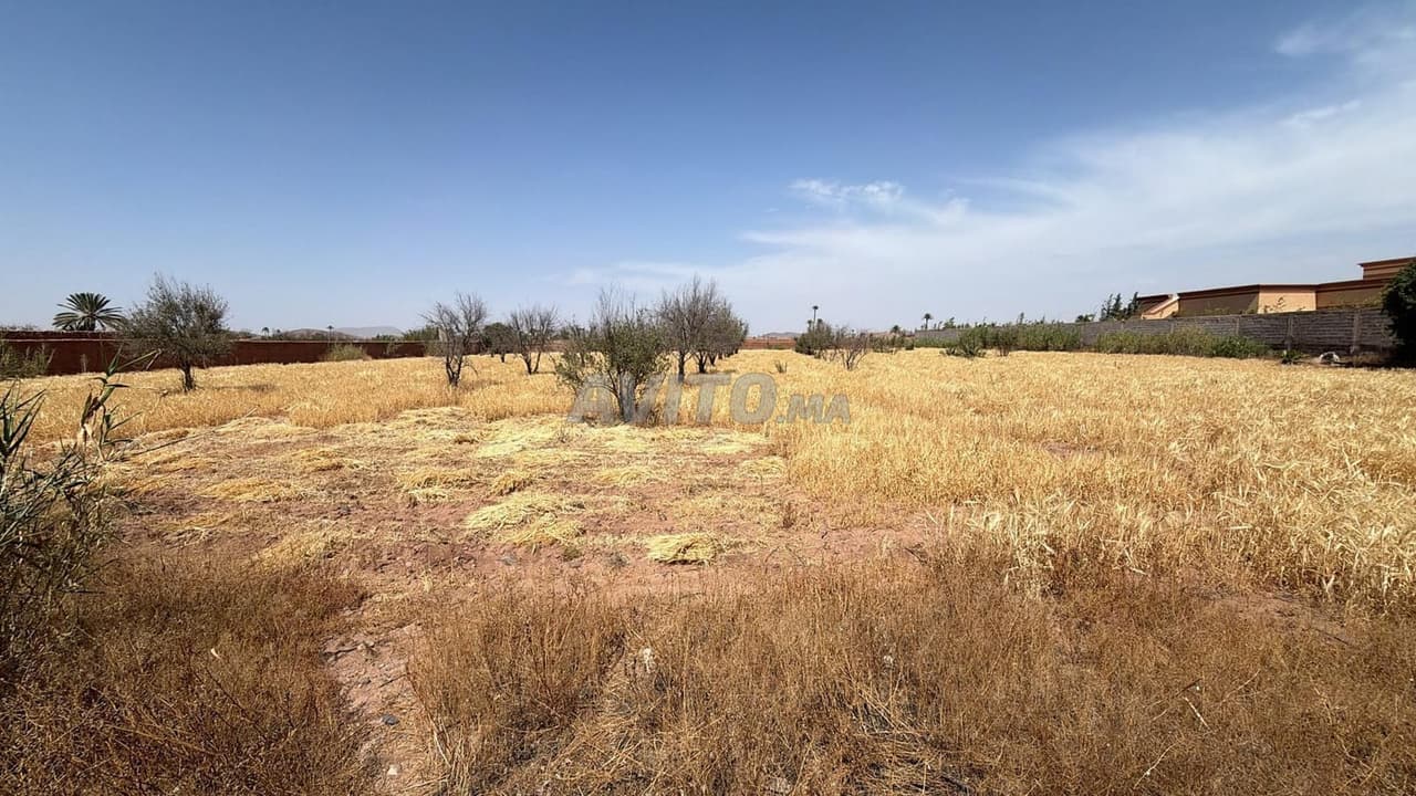 Terrain 7000 m² titré, avec permis de construire