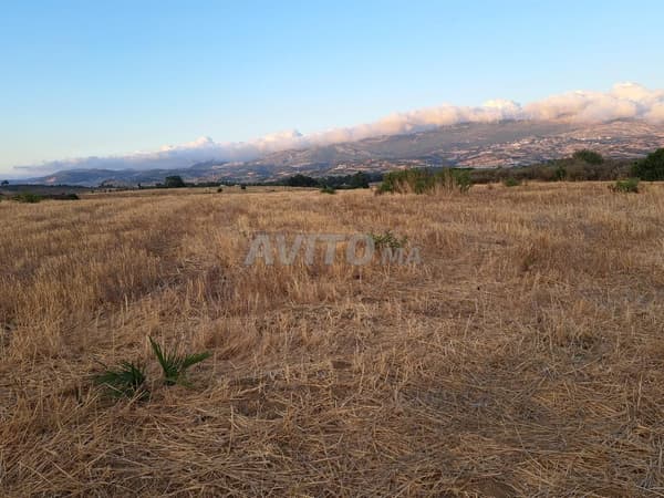 Oportunidad de inversión urgente en los alrededores de Tetuán