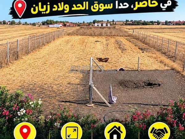 Terrain à vendre – 1000 m²