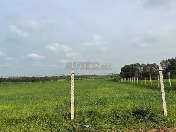 Verkoop Landbouwgrond in Bir Jdid