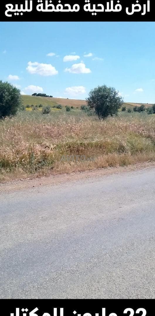 Landbouwgrond met titel te koop, 3 hectare