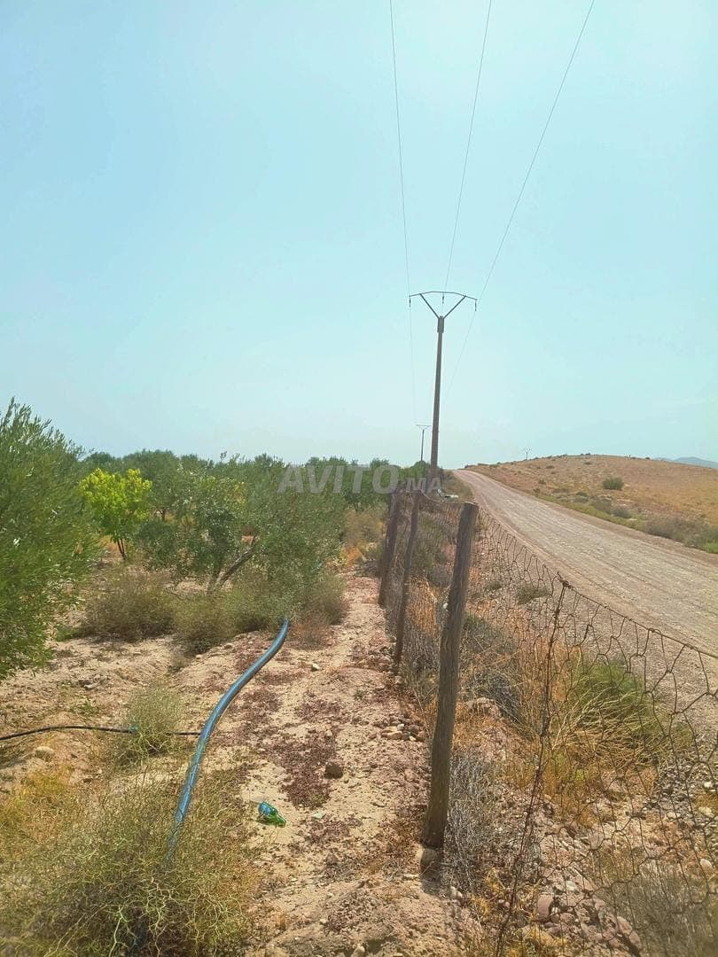 Near Lalla Takerkoust dam