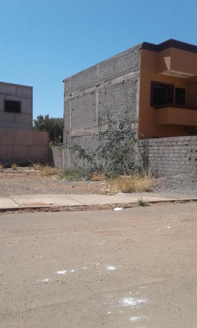 Lot Ennouzha titré