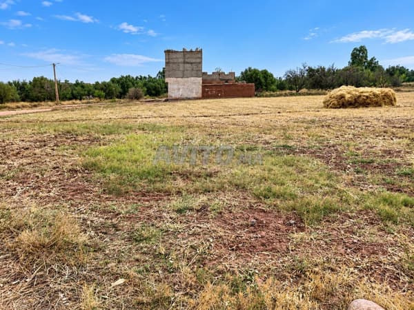 Terreno in vendita di 1019 m²