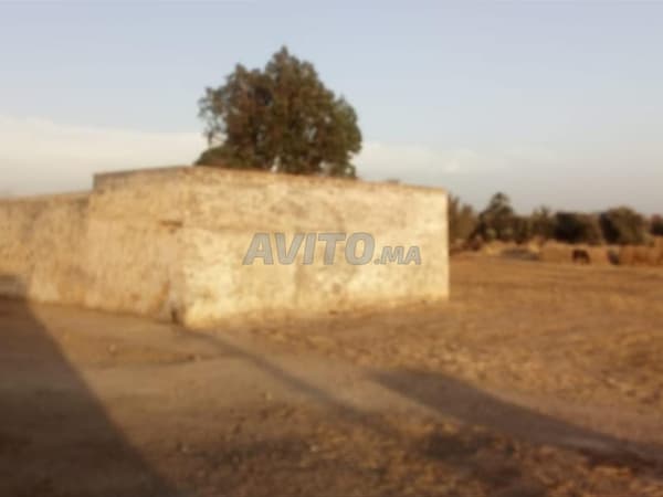 أرض فلاحية مع منزل قديم