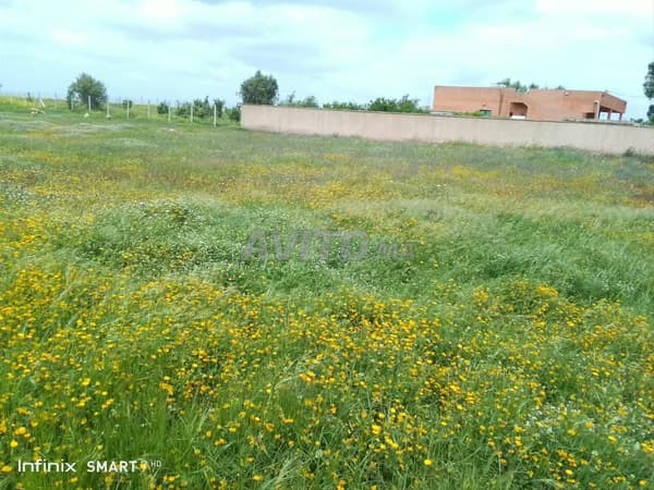 Agricultural land with title deed in Tifelt
