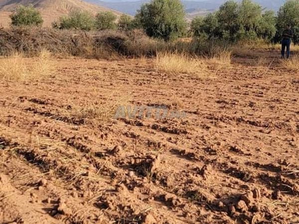 1000 m² en venta