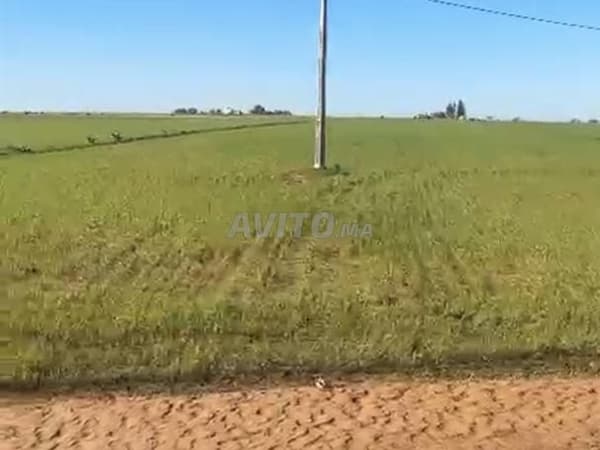 Terreno titolato di 9000m² vicino a Tifelt a 5km, con licenza
