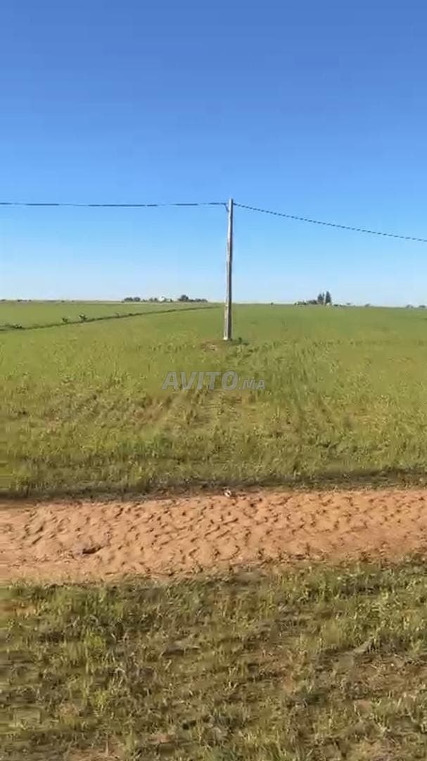 Terreno titolato di 9000m² vicino a Tifelt a 5km, con licenza