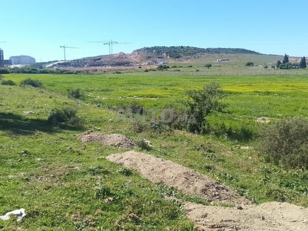 Terrain titré à vendre sur la route principale pour investisseurs