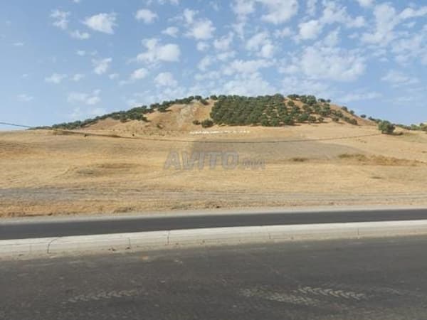 Terreno in vendita sulla strada principale