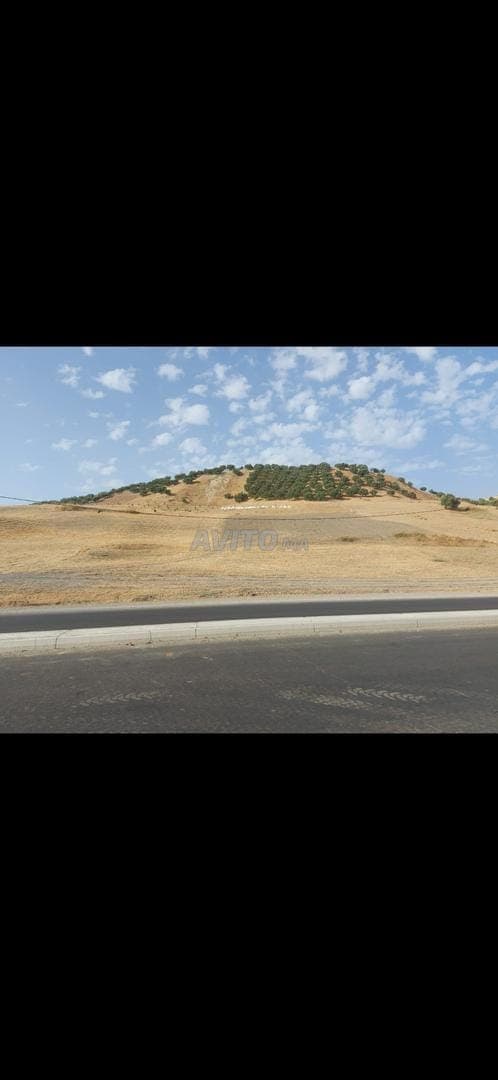 Terrain à vendre sur la route principale