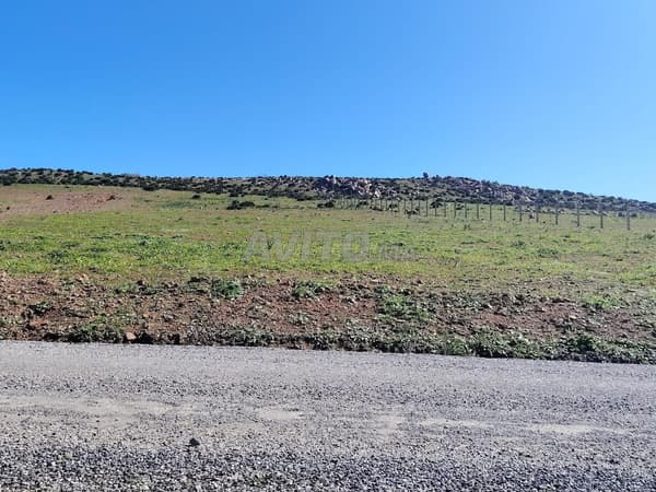 1 ha titré sur la route à Benslimane