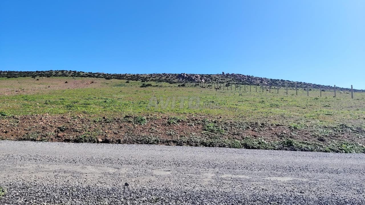 1 ha titré sur la route à Benslimane