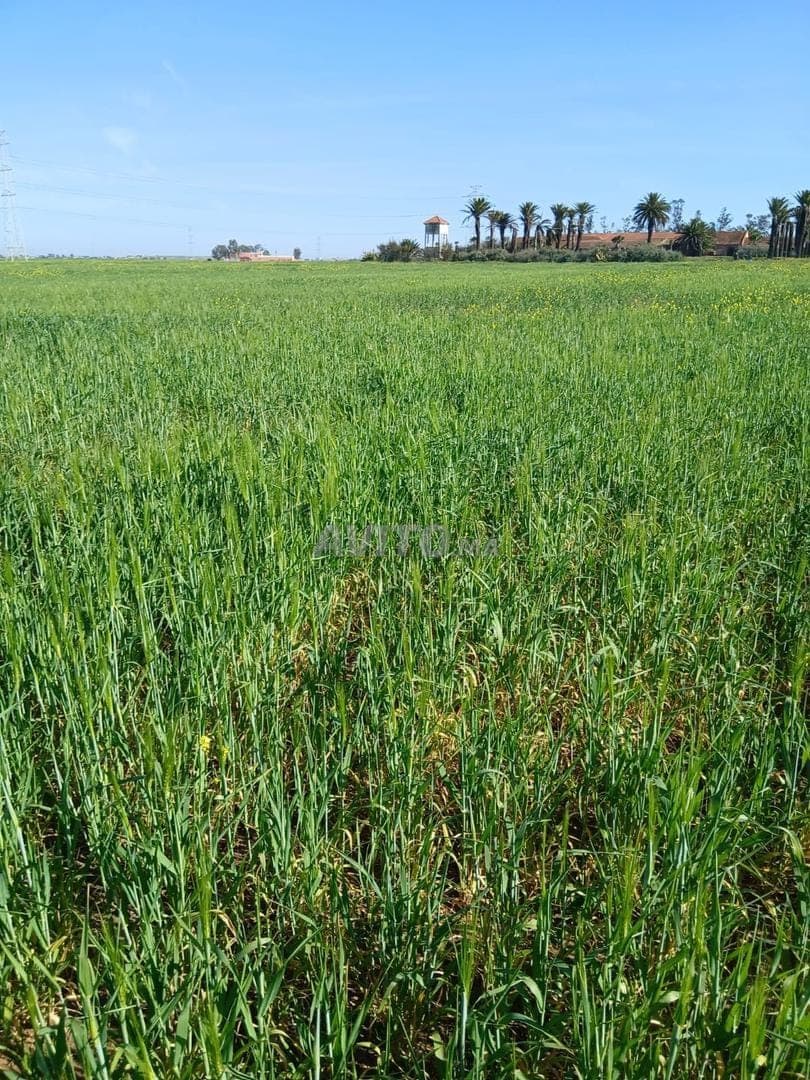 Registered 54-hectare land and farm for sale - 50 million