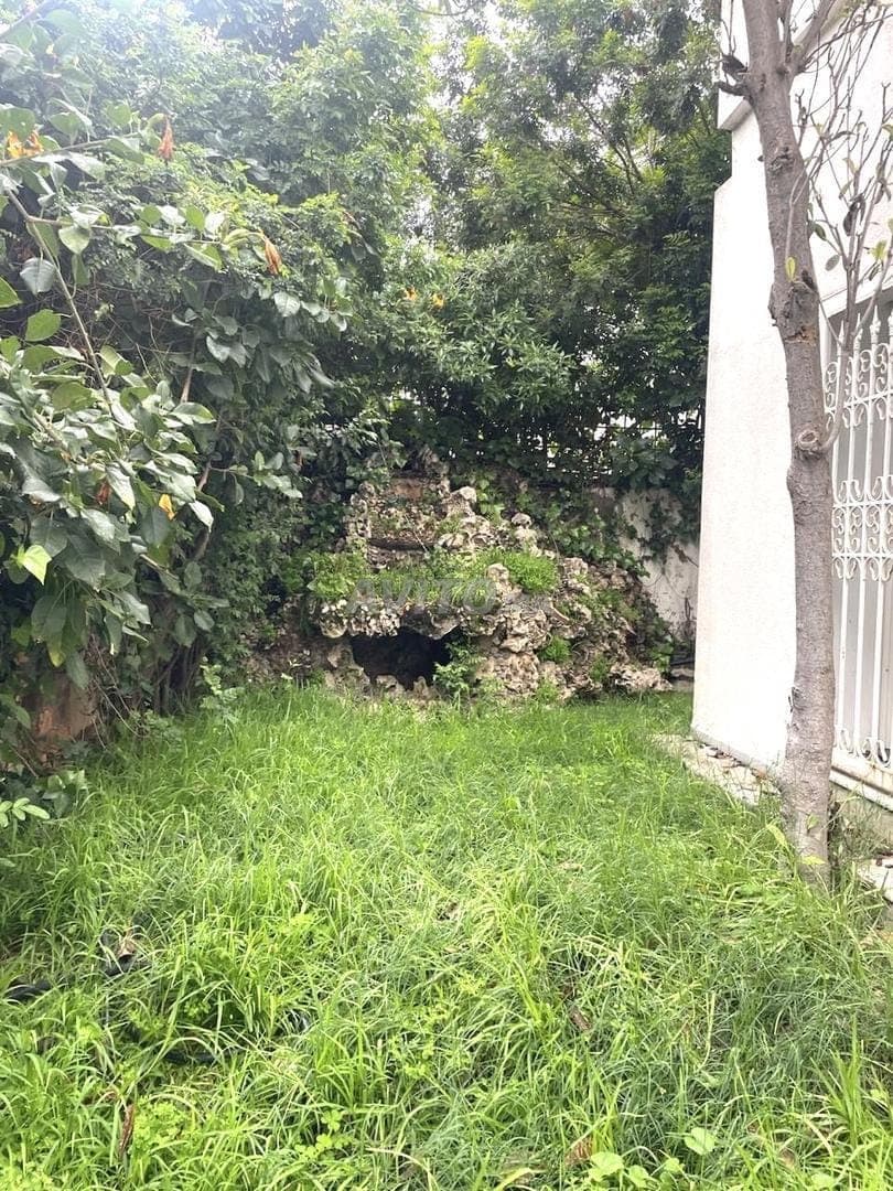 Villa Commerciale Ibnou Sina
