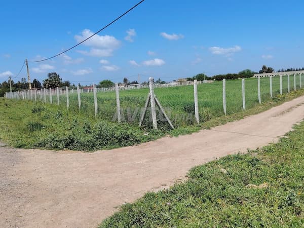 1ha – Écurie 240 m²– Accès Goudronné–8 km de Benslimane